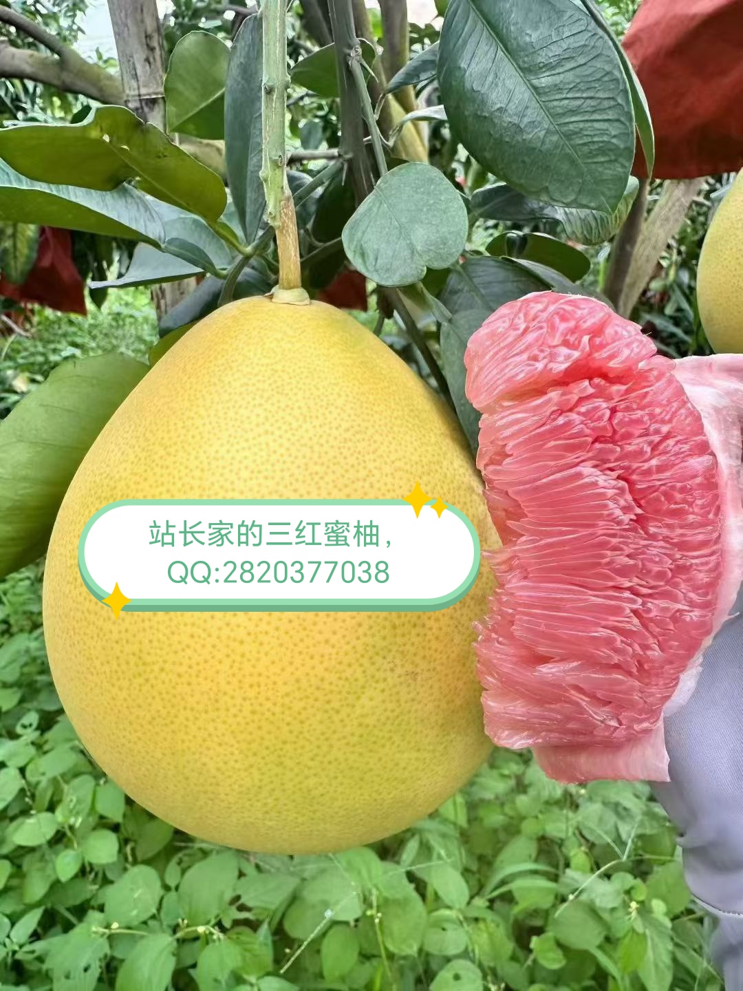 筛选页广告